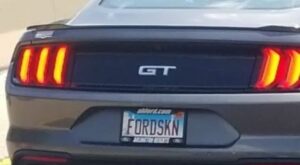 FORDSKN